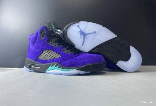 Air Retro Grape 5 Jordan Alternate 136027-500 136027-500 0911